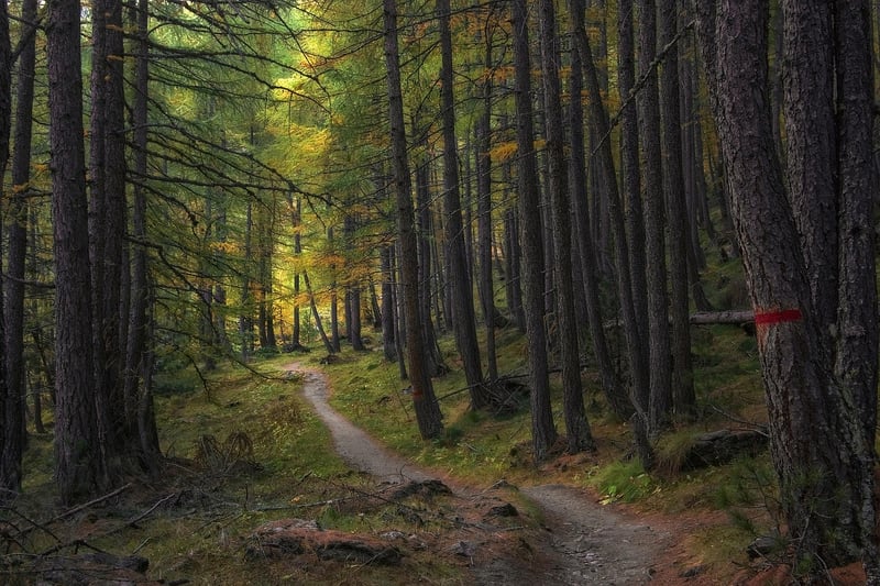 Historic Trails