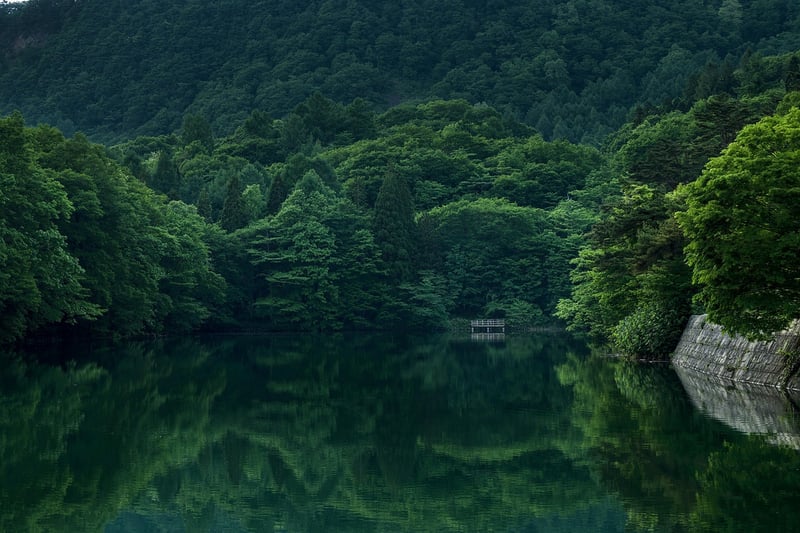 Lake View